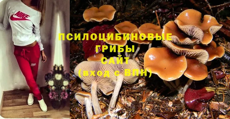 Псилоцибиновые грибы MAGIC MUSHROOMS  гидра зеркало  Томск 